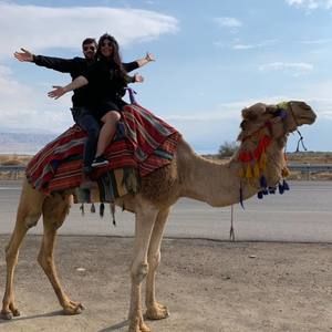 Meet your Posher, Nirelle